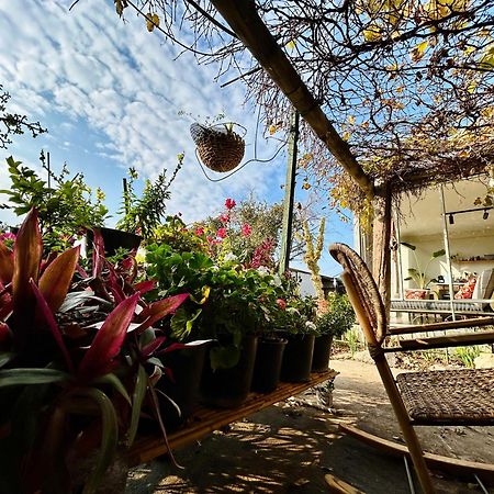 Villa בקתות האס ואטינגר Geva Carmel Exterior foto
