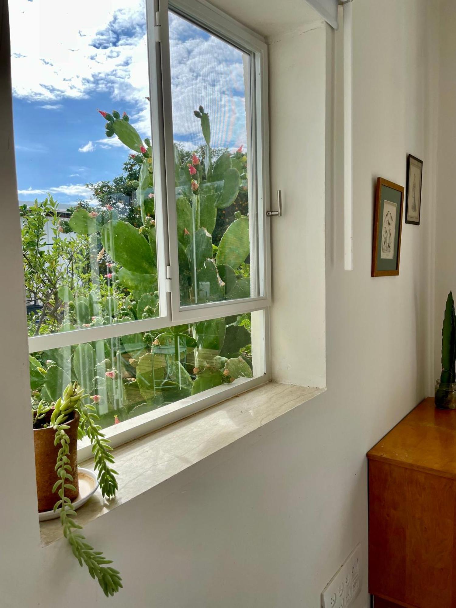 Villa בקתות האס ואטינגר Geva Carmel Exterior foto